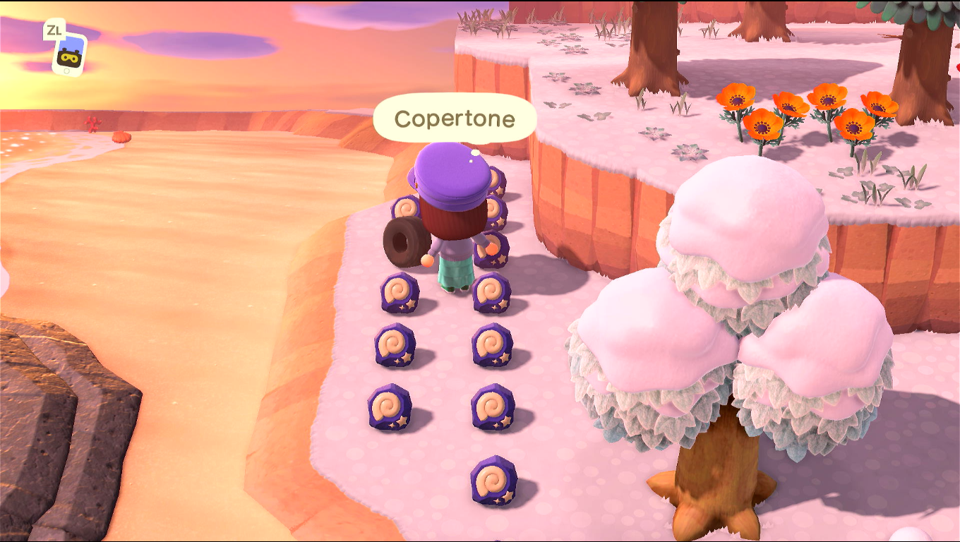 Foto vicino alla spiaggia sinistra dell'isola, c'è una riga con una dozzina di fossili e un copertone