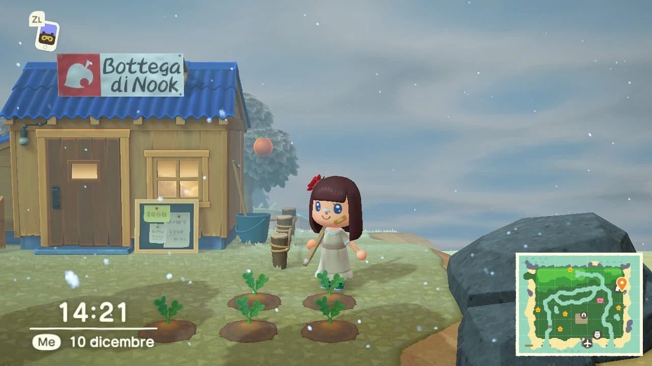 Foto di oggi mercoledì 10 novembre alle 14:21, davanti al negozio con le piantine di carota piantate