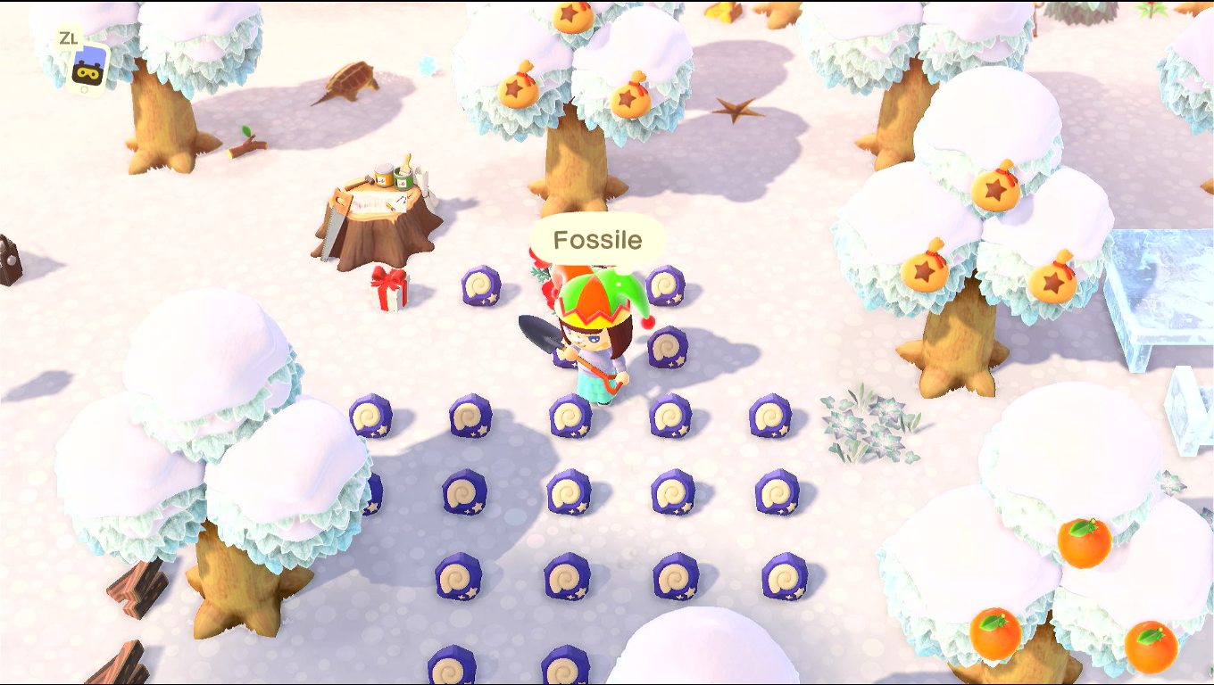 Foto un po' sotto casa mia, una grande chiazza di fossili buttati, forse una ventina