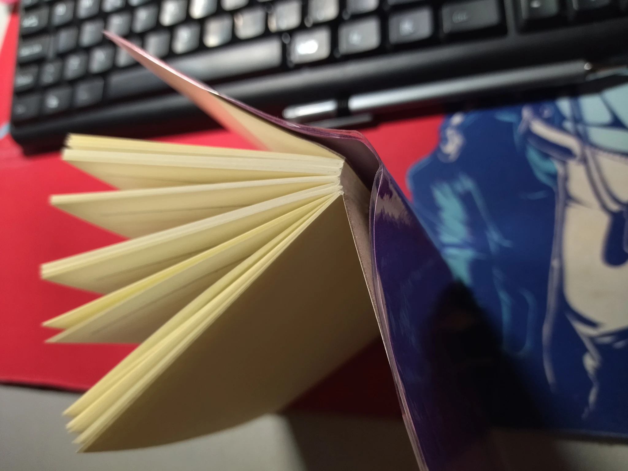 Foto del quaderno aperto in piedi sulla scrivania, con le pagine finite aperte a ventaglio, con vista mezza storta che fa un po' vedere il dorso interno e la divisione dalla copertina esterna.