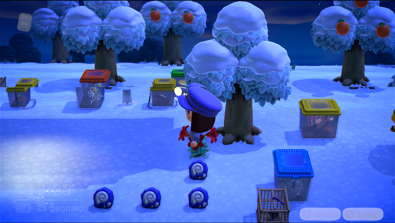 Foto con vista piena (usando un glitch della telecamera per far sparire l'edificio per un frame e permettere così di vedere anche il dietro) sul lato destro del museo, ancora con varie teche di insetti e fossili a terra