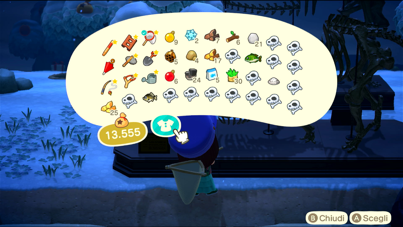 Foto del mio inventario con ben 15 fossili analizzati; sullo sfondo altri fossili mobili, piazzati al centro-sud dell'isola davanti alla spiaggia, non mostrati nelle foto dedicate di ieri