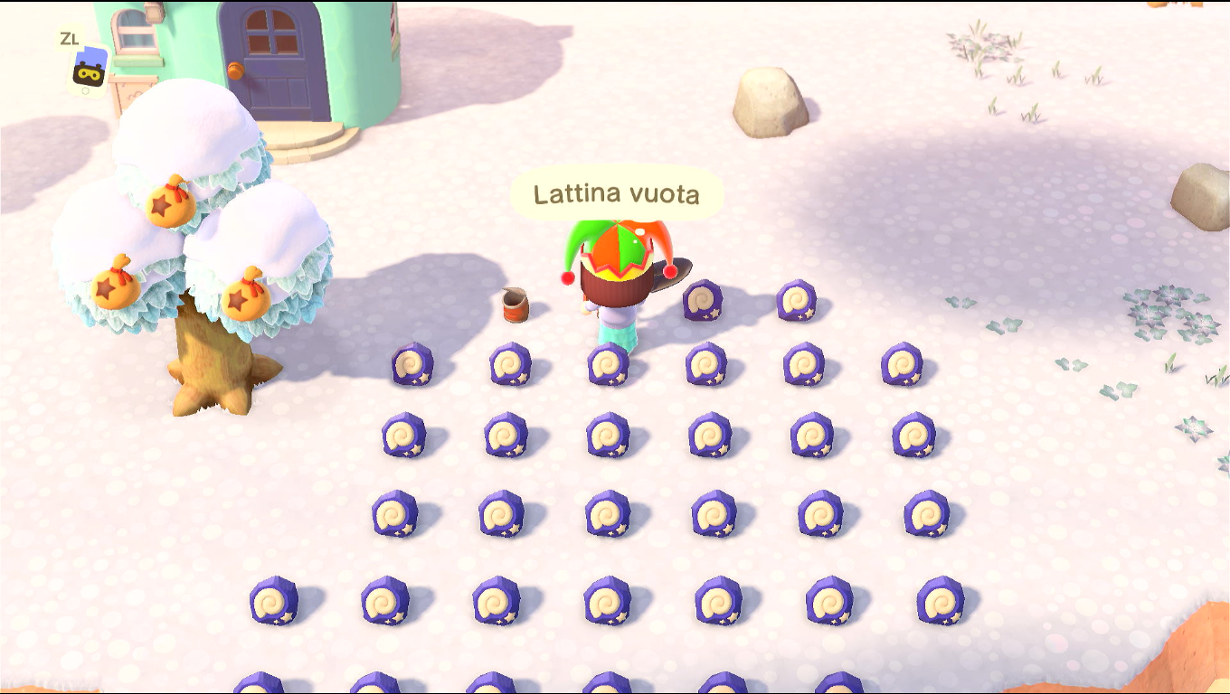 Foto un po' verso il sud dell'isola, una chiazza enorme di fossili, circa 35, e 2 lattine