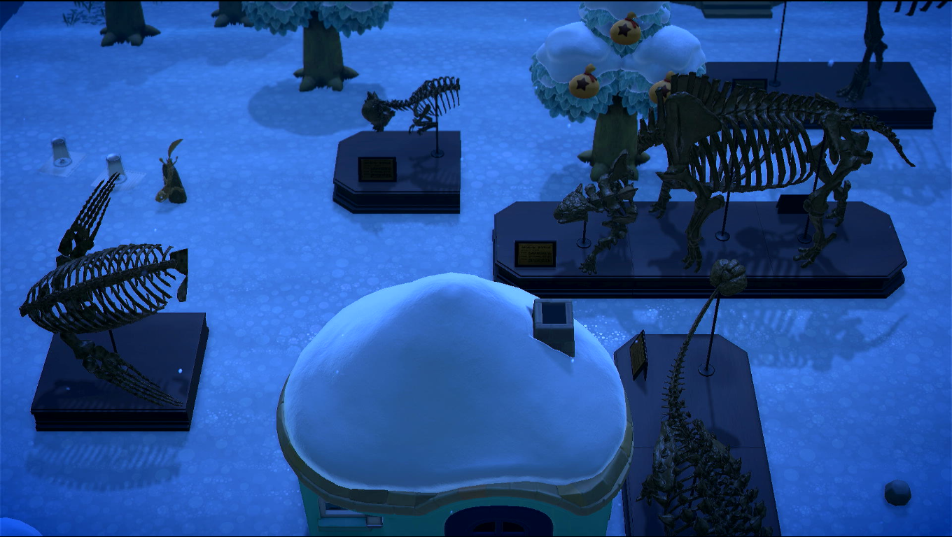 Foto sul lato centrale sud-ovest dell'isola, vari fossili sparsi così, e qualche altra cosa per terra