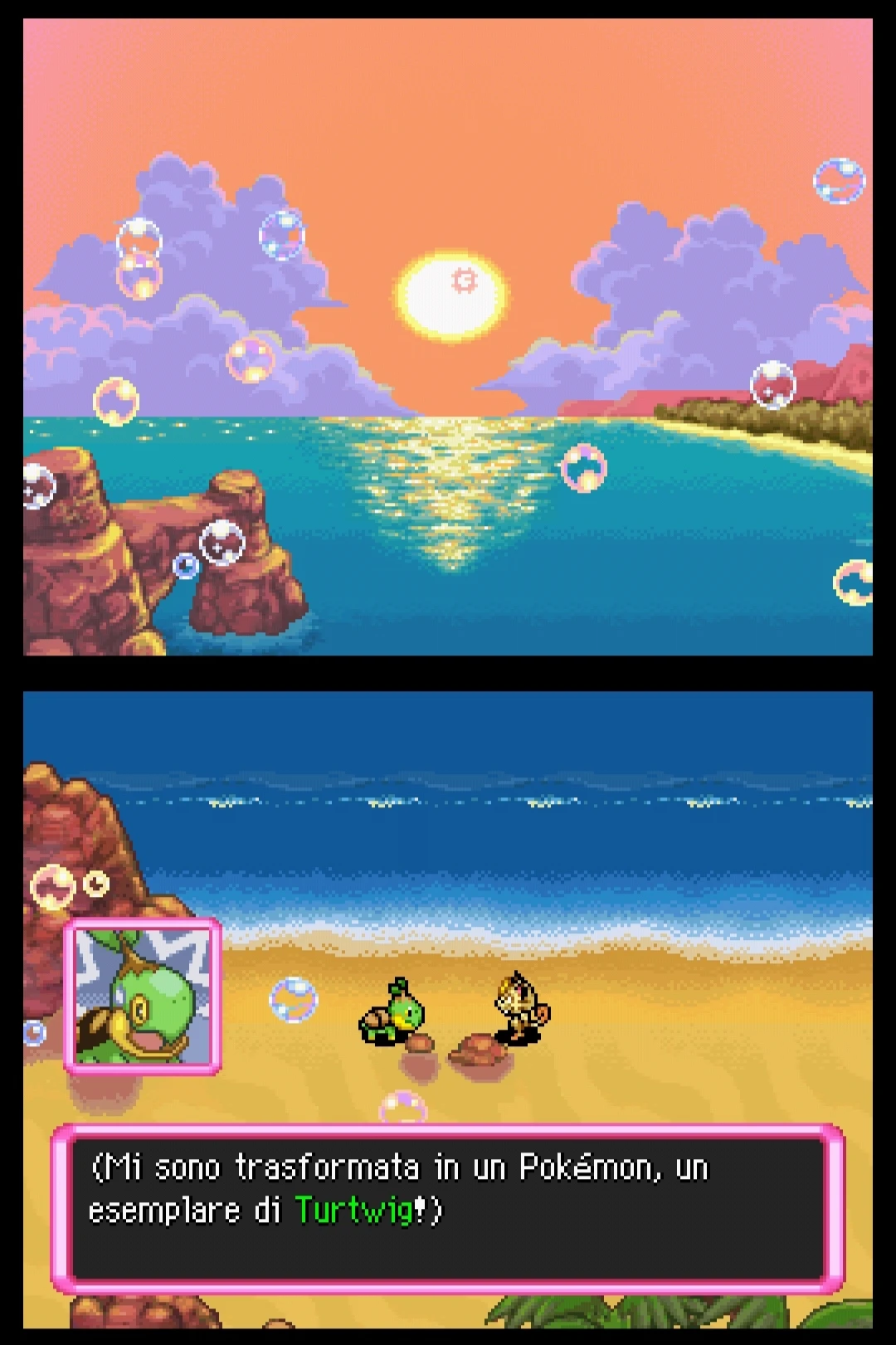 Turtwig [scioccata]:

(Mi sono trasformata in un Pokémon, un esemplare di Turtwig!)